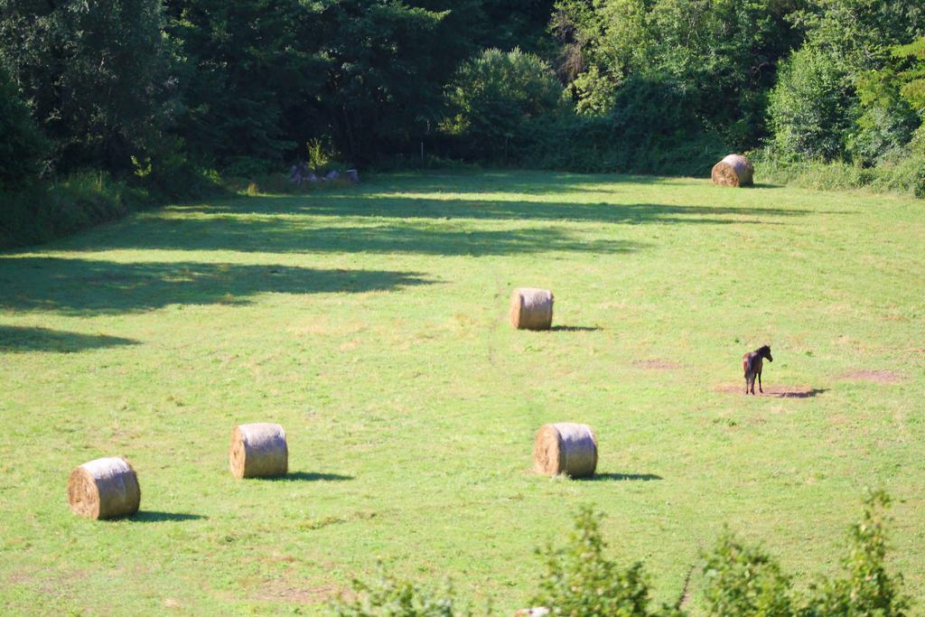 Willa Agriturismo Casale La Palombara Cerreto di Spoleto Zewnętrze zdjęcie